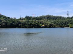 -深圳仙湖植物园
