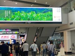 -福州长乐国际机场