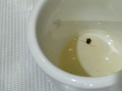 -东北人粗粮饺子坊(南山店)