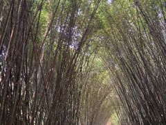 -杭州萧山国际机场