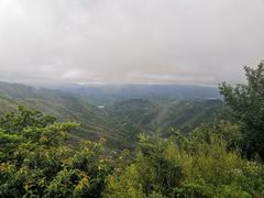 -四明山国家森林公园
