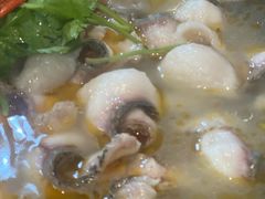 -大鼎石锅鱼(春江里店)