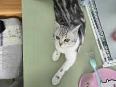 -联合动物医院(光谷诊疗中心)