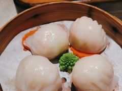 -南海渔村(珠江新城店)