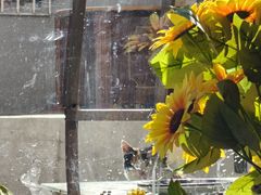 -弘烨 贵州酸汤 鱼火锅(东财店)