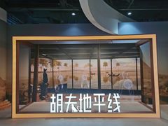 -凤凰中心