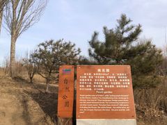 -廊坊市自然公园