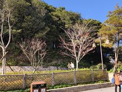 -普陀山风景区-佛顶山