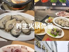 -濠轩阁特色生蚝火锅总店