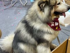 -宁波国际会展中心
