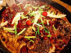 -老板恋上鱼(恒隆广场店)