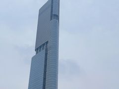 -紫峰大厦