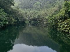 -紫云谷景区