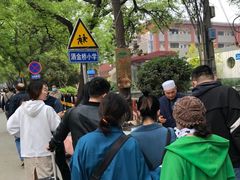 -马文章胖子甑糕(洒金桥店)