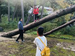 -阳台山自然风景区