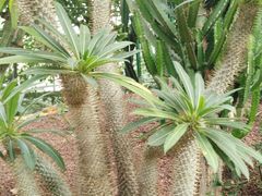 -南通洲际绿博园