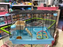 -钓仓鼠(洋桥北里小区店)