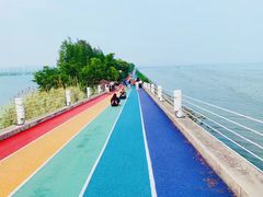 -贡湖湾湿地公园