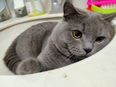 -糕材生(铜锣湾店)