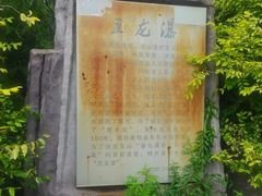 -五龙城郊森林公园