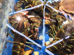 -盒马鲜生(莱蒙都会店)