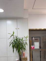 -柯琳造型