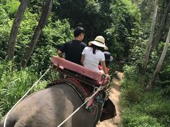 -东芭乐园