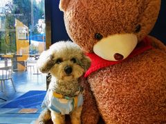 -咖星人E·T coffee·云赛空间