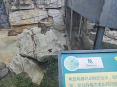 -黔灵山公园