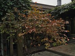 -旅马餐厅(茅家埠店)