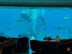 -OSSIANO奥西亚诺海底餐厅
