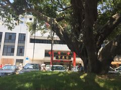 -聚春园自助餐厅(东街口店)