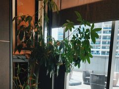 -中山保利艾美酒店-乐美中餐厅