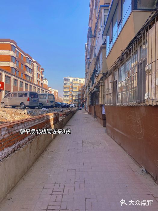 鸡炖兔图片