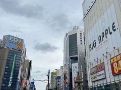 -秋叶原电器街