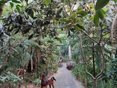 -呀路古热带植物园