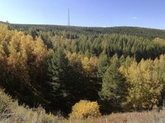 -塞罕坝国家级自然保护区