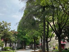 -上海财经大学(国定路校区)