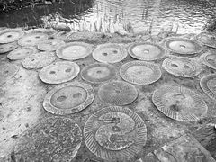 -武汉紫薇都市田园