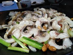 姜葱炒生鱼片-禄源公·老莞诚饭店