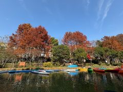 -新江湾城公园