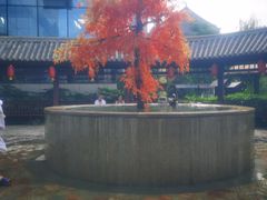 -太白山御龙湾温泉