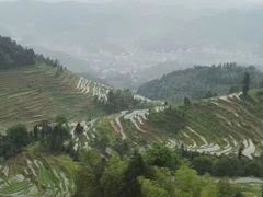 -紫鹊界梯田景区