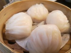 添运来虾饺皇-添运来(茶园奥园广场店)