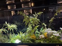 -华夏良子·足道SPA艾灸(金皇大厦店)