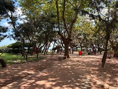 -日照灯塔风景区