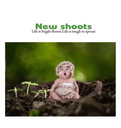 点击看大图 -小阿福儿童摄影(摩尔城店)