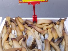 -蚝专家(北滘店)