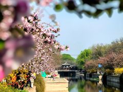 -海棠花溪(元大都城垣遗址公园)