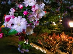 -海棠花溪(元大都城垣遗址公园)